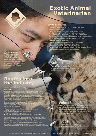 Exotic Animal Vet job poster